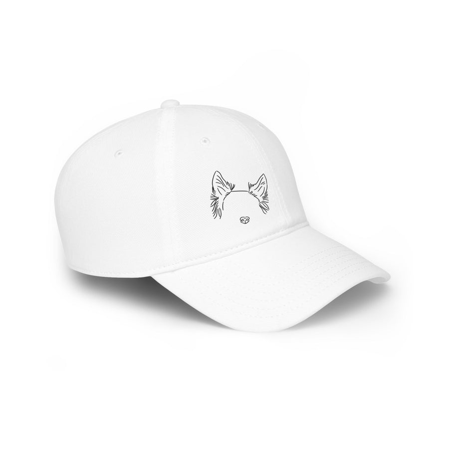 Dog Ears on a cap - Baseball Cap