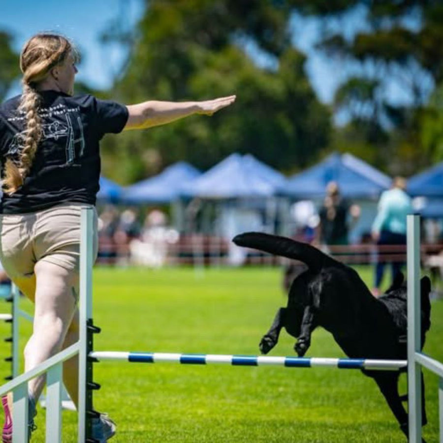 Custom Dog Sport Outline with text - Tee