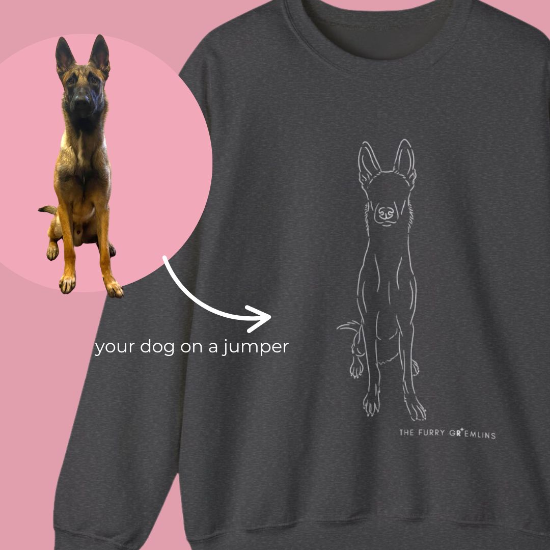 Your Dog On A Jumper - Custom Pet Jumper