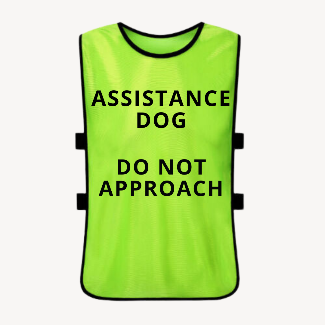 High Visibility Dog Training Vest