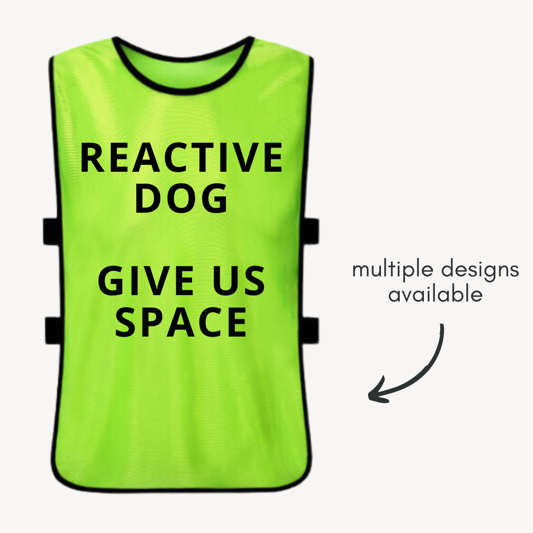 High Visibility Dog Training Vest