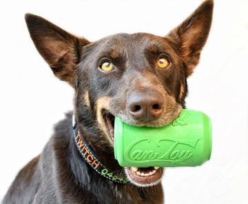 Soda Pup Can Toy Durable Rubber Chew Toy for Dogs